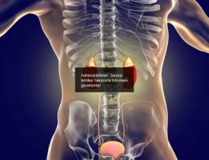 Adrenal kitleler: Sessiz tehlike hakkında bilinmesi gerekenler