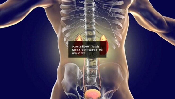 Adrenal kitleler: Sessiz tehlike hakkında bilinmesi gerekenler