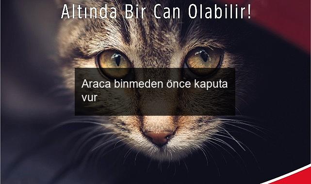 Araca binmeden önce kaputa vur