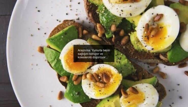 Araştırma: Yumurta beyin sağlığını koruyor ve kolesterolü düşürüyor