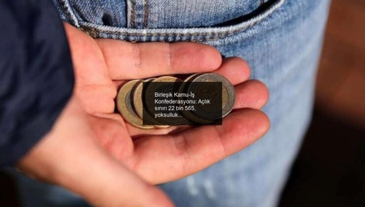 Birleşik Kamu-İş Konfederasyonu: Açlık sınırı 22 bin 565, yoksulluk sınırı 69 bin 681 lira oldu