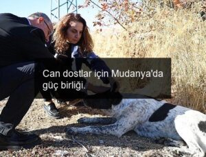 Can dostlar için Mudanya’da güç birliği.