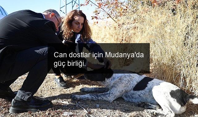 Can dostlar için Mudanya’da güç birliği.