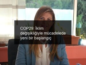 COP29: İklim değişikliğiyle mücadelede yeni bir başlangıç