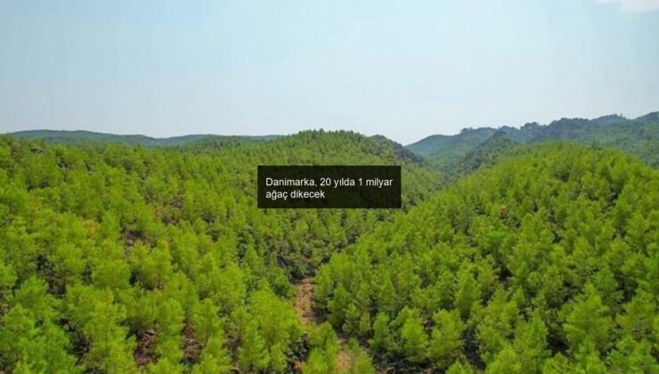 Danimarka, 20 yılda 1 milyar ağaç dikecek