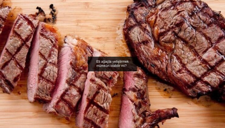 Eti ağaçta yetiştirmek mümkün olabilir mi?