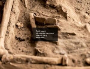 Fosil, kanatlı sürüngenlerin evrimine farklı bir bakış kazandırdı