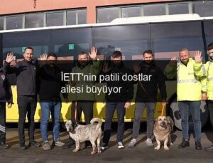 İETT’nin patili dostlar ailesi büyüyor