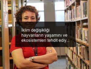 İklim değişikliği hayvanların yaşamını ve ekosistemleri tehdit ediyor!