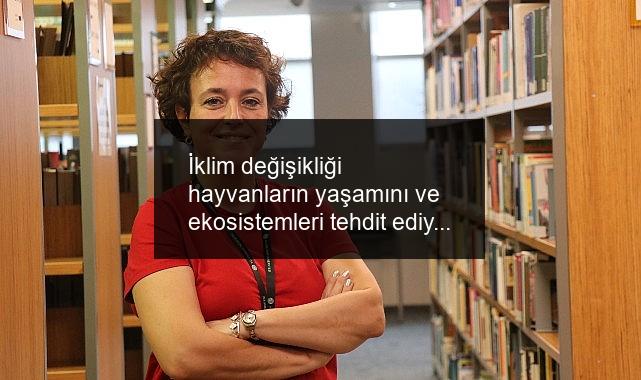 İklim değişikliği hayvanların yaşamını ve ekosistemleri tehdit ediyor!