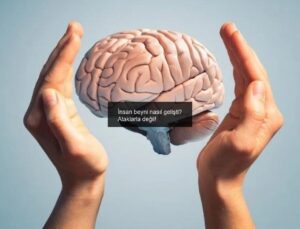 İnsan beyni nasıl gelişti? Ataklarla değil!