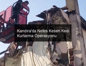 Kandıra’da Nefes Kesen Kedi Kurtarma Operasyonu