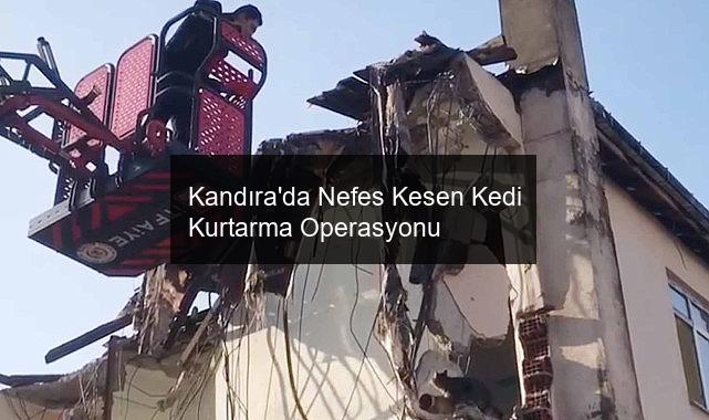 Kandıra’da Nefes Kesen Kedi Kurtarma Operasyonu