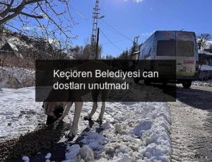 Keçiören Belediyesi can dostları unutmadı