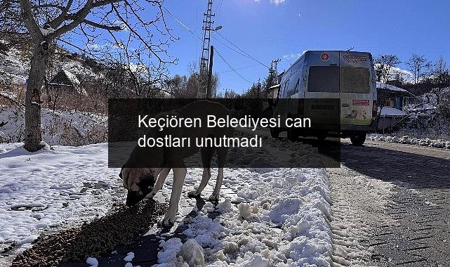 Keçiören Belediyesi can dostları unutmadı