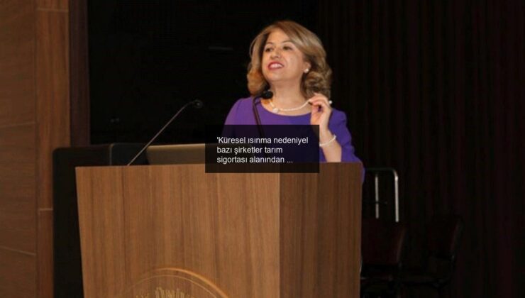 ‘Küresel ısınma nedeniyel bazı şirketler tarım sigortası alanından çekilebilir’