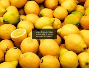 Limon fiyatında makas açılıyor: Hal ve market arasında 10 kat fiyat farkı
