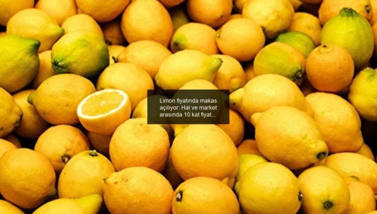 Limon fiyatında makas açılıyor: Hal ve market arasında 10 kat fiyat farkı