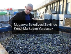 Mudanya Belediyesi Zeytinde Kendi Markasını Yaratacak