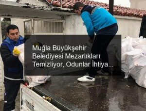Muğla Büyükşehir Belediyesi Mezarlıkları Temizliyor, Odunlar İhtiyaç Sahiplerine Yakacak Oluyor