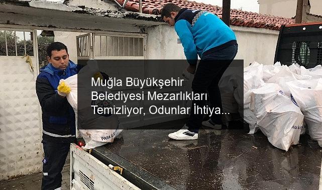 Muğla Büyükşehir Belediyesi Mezarlıkları Temizliyor, Odunlar İhtiyaç Sahiplerine Yakacak Oluyor