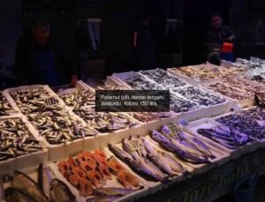 Palamut bitti, hamsi tezgahı doldurdu: Kilosu 150 lira