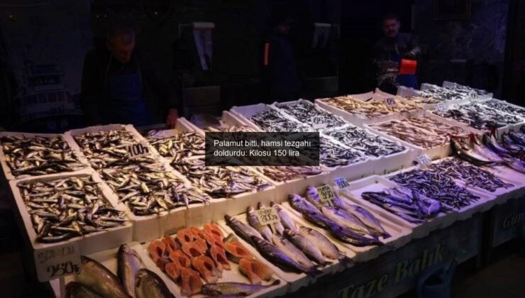 Palamut bitti, hamsi tezgahı doldurdu: Kilosu 150 lira