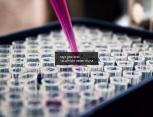 Silya geni farklı hastalıklara neden oluyor