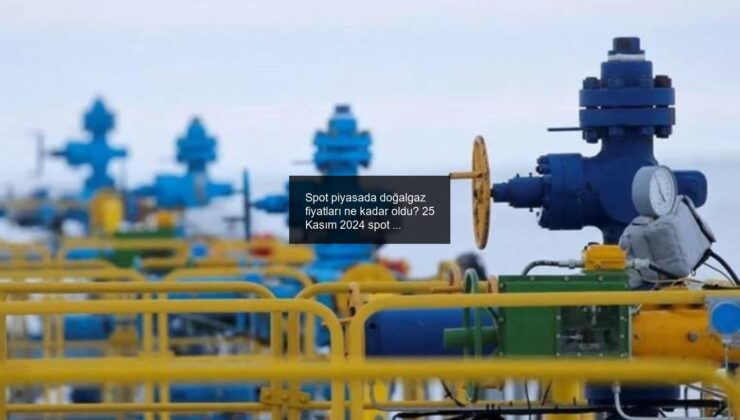 Spot piyasada doğalgaz fiyatları ne kadar oldu? 25 Kasım 2024 spot doğalgaz fiyatları