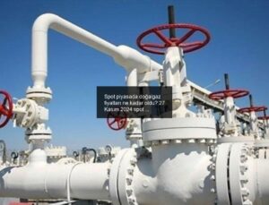 Spot piyasada doğalgaz fiyatları ne kadar oldu? 27 Kasım 2024 spot doğalgaz fiyatları