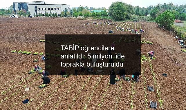 TABİP öğrencilere anlatıldı; 5 milyon fide toprakla buluşturuldu