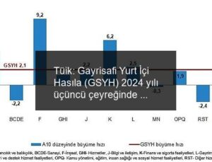 Tüik: Gayrisafi Yurt İçi Hasıla (GSYH) 2024 yılı üçüncü çeyreğinde %2,1 arttı