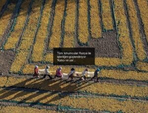 Türk tohumcular Rusya ile işbirliğini güçlendiriyor: ‘Kalıcı ve yararlı sonuçlar sağlanacak’