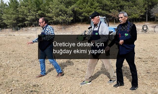 Üreticiye destek için buğday ekimi yapıldı