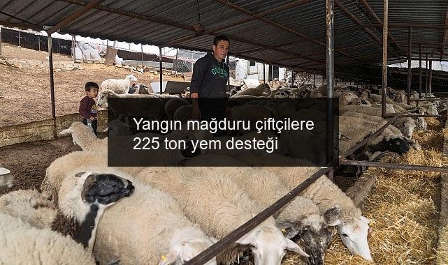Yangın mağduru çiftçilere 225 ton yem desteği