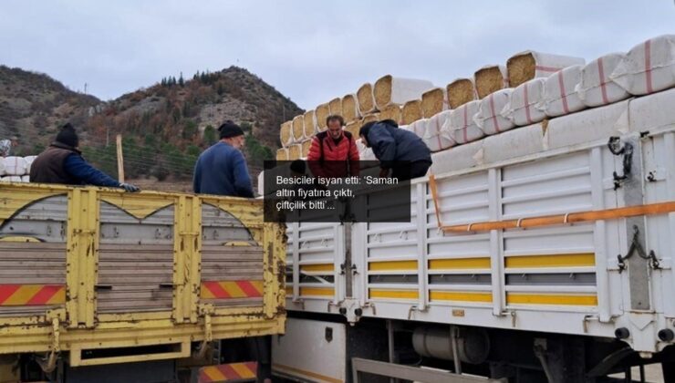 Besiciler isyan etti: ‘Saman altın fiyatına çıktı, çiftçilik bitti’