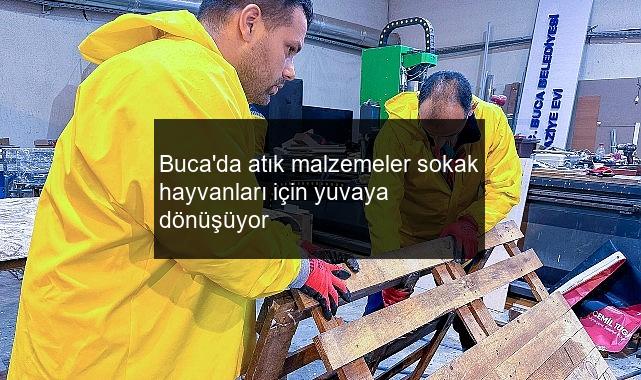 Buca’da atık malzemeler sokak hayvanları için yuvaya dönüşüyor
