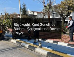Büyükşehir Kent Genelinde Budama Çalışmalarına Devam Ediyor