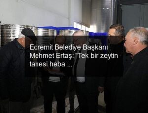 Edremit Belediye Başkanı Mehmet Ertaş: “Tek bir zeytin tanesi heba olmuyor”