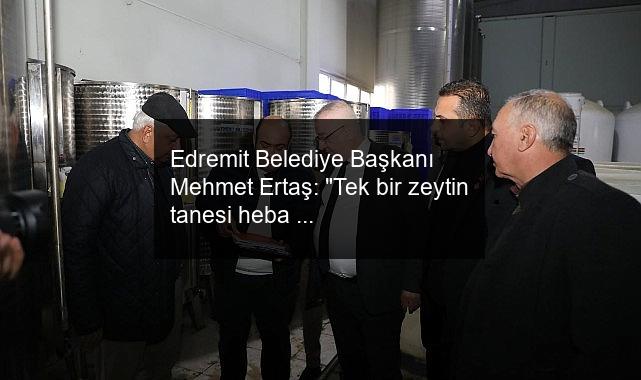 Edremit Belediye Başkanı Mehmet Ertaş: “Tek bir zeytin tanesi heba olmuyor”