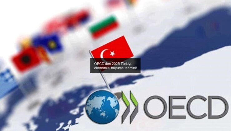 OECD’den 2025 Türkiye ekonomisi büyüme tahmini!