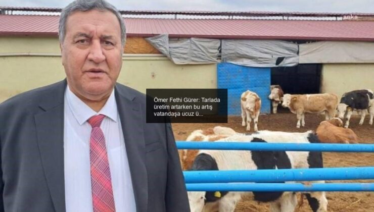 Ömer Fethi Gürer: Tarlada üretim artarken bu artış vatandaşa ucuz ürün olarak yansımadı