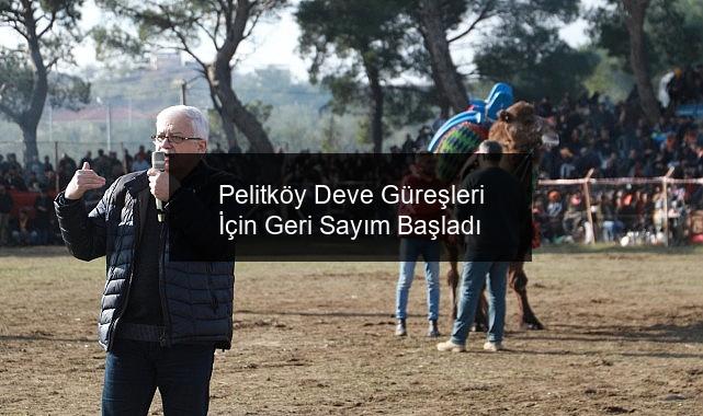 Pelitköy Deve Güreşleri İçin Geri Sayım Başladı