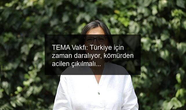 TEMA Vakfı: Türkiye için zaman daralıyor, kömürden acilen çıkılmalı!