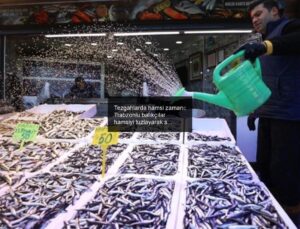 Tezgahlarda hamsi zamanı: Trabzonlu balıkçılar hamsiyi tuzlayarak saklama yöntemini öneriyor