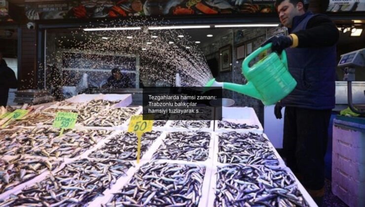Tezgahlarda hamsi zamanı: Trabzonlu balıkçılar hamsiyi tuzlayarak saklama yöntemini öneriyor