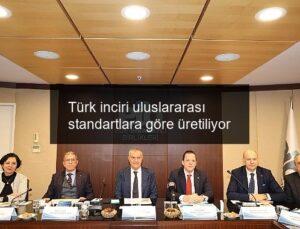 Türk inciri uluslararası standartlara göre üretiliyor