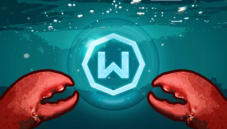 Aynı IP’den kaç bot çalıştırıyorsun? Risk büyüyor