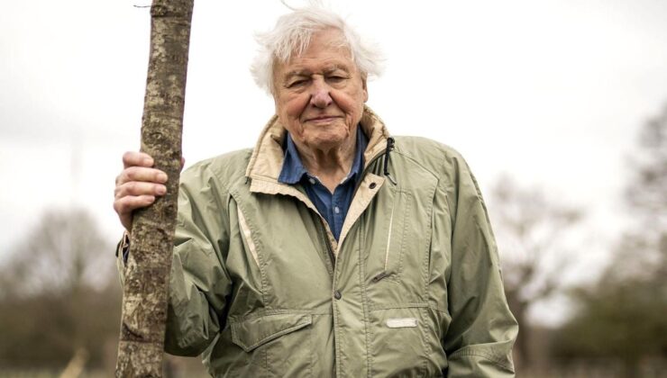 David Attenborough: Doğaya bakışımızı değiştiren belgeselci 100. yaşında