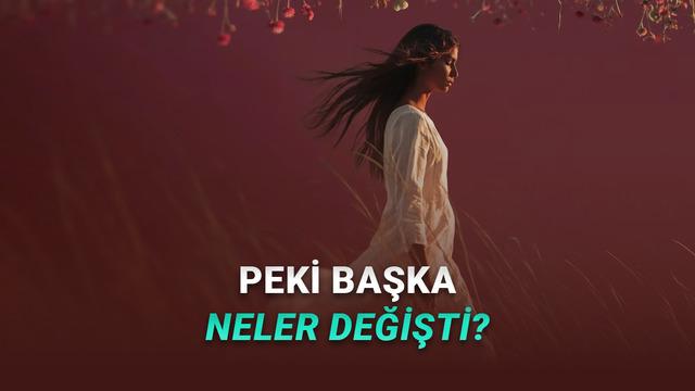 Freepik Tarih Oldu: 230 Milyon Dolarlık Şirketin Adı Artık “Magnific”